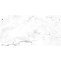 Gres Base Marble Cararra Bianco 60/120