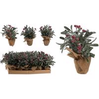 Květina v květináči 23cm red 317903220