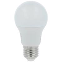 LED žárovka bulb 5W E27 6500K 500LM
