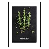 Obraz Artbox 50x70 AB181 Rosemary OB-14443