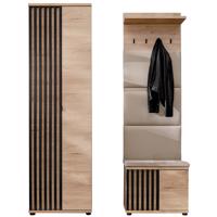 Předsíňová stěna Pedro VI HJZ PD6+P hickory jackson/černá