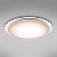 Stropní svítidlo 41310-60 LED 55 cm
